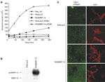 Figure 2 - Unfortunately we are unable to provide accessible alternative text for this. If you require assistance to access this image, please contact help@nature.com or the author